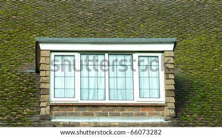 Window Ledge