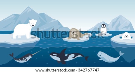 Arctic Animals Character and Background, Winter, Nature Travel and Wildlife