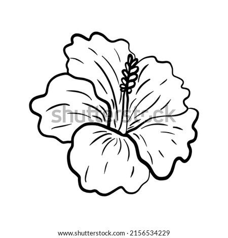 Hibiscus Tattoo Drawing | Free download on ClipArtMag