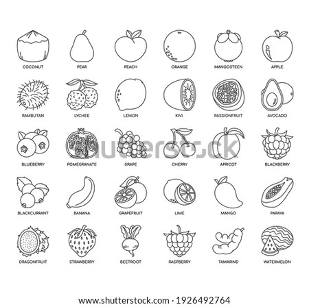 Set of fruit thin line and pixel perfect icons for any web and app project. 