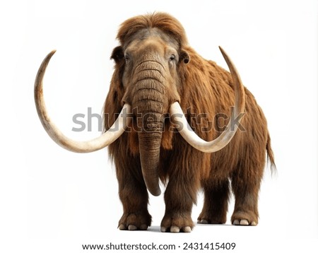 Image, Stock Photo ice age | is always