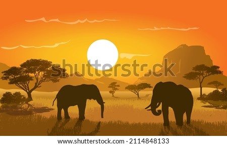 A Pair of African Elephant, Scene of Africa Wildlife, vector illustration