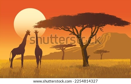 A Pair of Giraffes in the African Nature, vector illustration