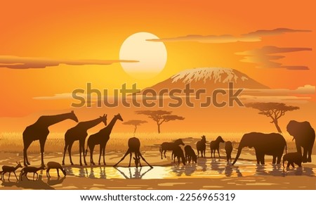 African Wildlife, the animals gathered at the water hole, vector illustration isolated, EPS