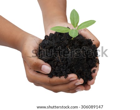 two hands hold and caring a young green plant / planting tree / growing a tree / love nature / save the world