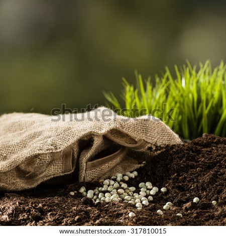 Planting a small plant on a pile of soil on green bokeh background.  Background for creative, advertising concept featuring gardening.