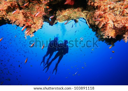 Couple Scuba Diving in the Red Sea