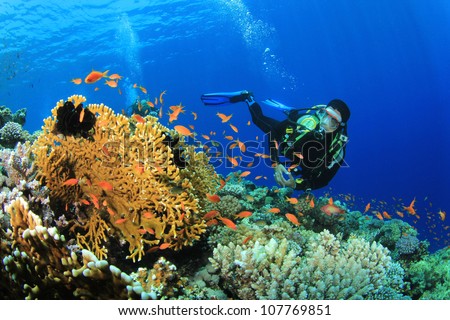 Scuba Diver, Tropical Fish and Coral Reef