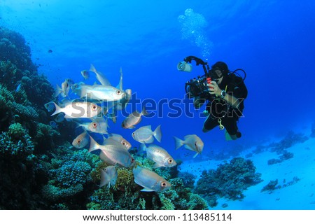 Female Scuba Diver and School of Tropical Fish on Red Sea coral reef