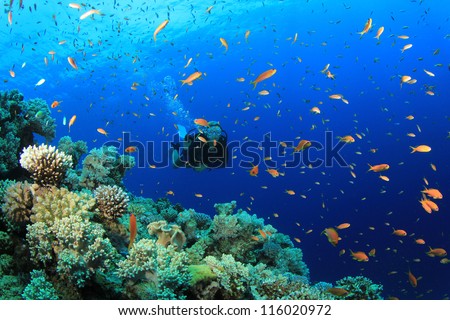 Female Scuba Diver exploring coral reef underwater