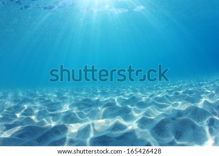 Underwater ocean background with sandy seabed