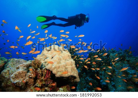Scuba Diving on coral reef with fish