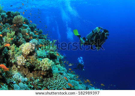 Scuba Diver exploring coral reef