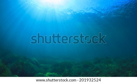 Underwater blue ocean and sun
