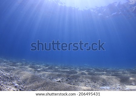 Underwater background and sea floor