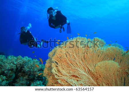 Couple Scuba Diving together over a beautiful coral reef