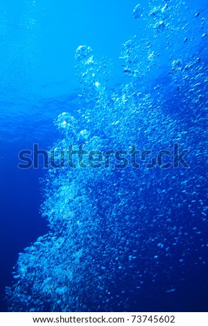 Air Bubbles in Blue Water