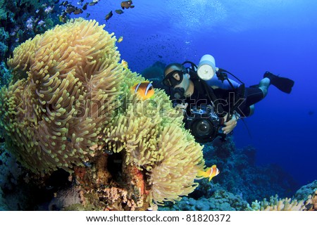 Underwater Photographer on Scuba dives with Clownfish at Anemone City in the Red Sea