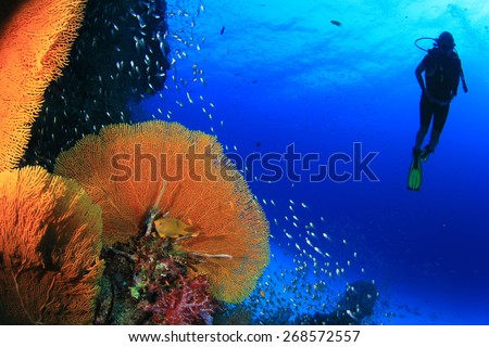 Scuba diving on coral reef in sea