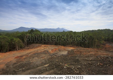 Similar – Image, Stock Photo Karg forest Forest