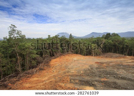 Deforestation environmental damage