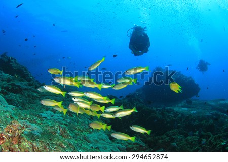Scuba diving with fish on coral reef