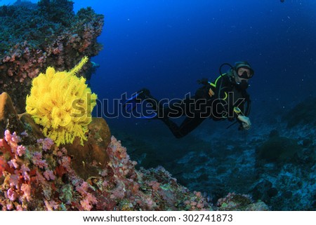 Female scuba diver explores coral reef underwater