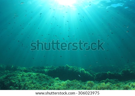 Underwater Background