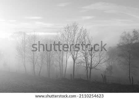 Similar – Image, Stock Photo wafts of mist in the morning