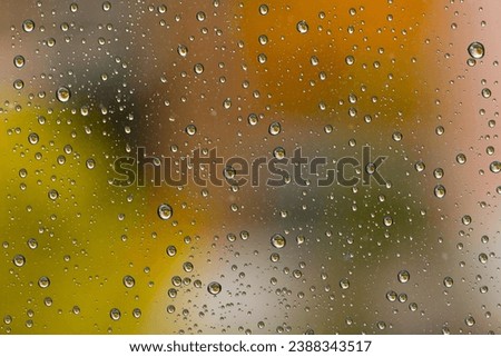 Similar – Image, Stock Photo Many small glowing raindrops on the branches of a conifer