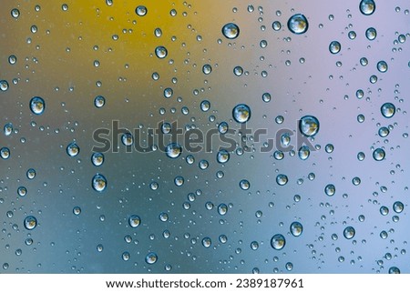 Similar – Image, Stock Photo Many small glowing raindrops on the branches of a conifer