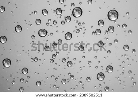 Similar – Image, Stock Photo Many small glowing raindrops on the branches of a conifer