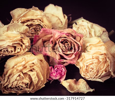 Faded roses on a black background close up. Vintage style effect