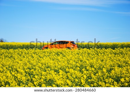 OLAND, SWEDEN - MAY 11:Orange car drives on a road through a blossom rapeseed field. Photo taken on May 11 2015 in Sweden.