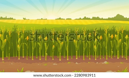 Similar – Image, Stock Photo Harvested cornfield with fruit trees on the horizon.