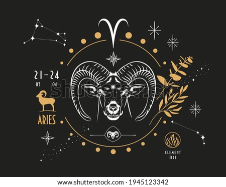 The astrological sign of the zodiac is Aries. Realistic hand drawing of a ram's head or mouflon on a dark background. Zodiac characteristic