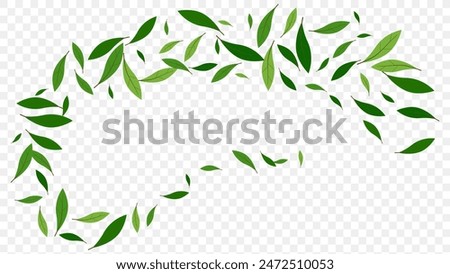 Similar – Image, Stock Photo leaves Leaf foliage Nature