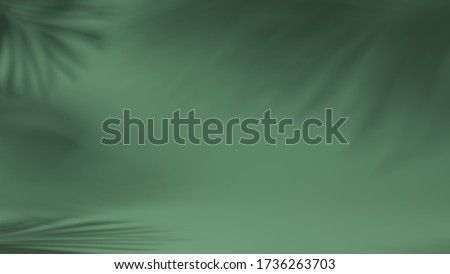 luxury leaf shadow leaves in blank green natural background. concept scene stage showcase, product, nature, perfume, promotion sale, banner, presentation, cosmetic. 3D render