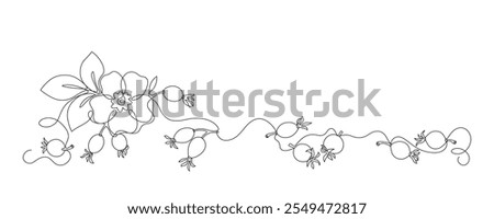 Similar – Image, Stock Photo rose hips Elegant Style