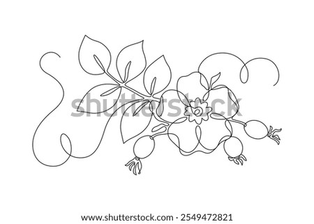 Similar – Image, Stock Photo rose hips Elegant Style