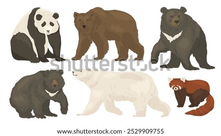 Set of bears of different species. White polar bear. Grizzly from Siberian taiga. Chinese panda and red panda. Himalayan black bear. Vector illustration in flat style.