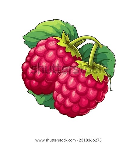 Vector raspberry sticker isolated on white. Cartoon flat style. illustration Red yammi berry with green leaves Healthy diet vegetarian eco food. Decoration for packaging, menu etc