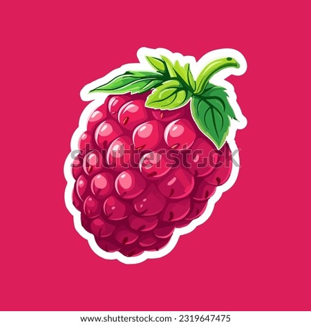Vector raspberry sticker isolated on white. Cartoon flat style. illustration Red yammi berry with green leaves Healthy diet vegetarian eco food. Decoration for packaging, menu etc