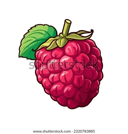 Vector raspberry sticker isolated on white. Cartoon flat style. illustration Red yammi berry with green leaves Healthy diet vegetarian eco food. Decoration for packaging, menu etc