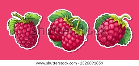 Vector set raspberry sticker isolated on white. Cartoon flat style. illustration Red yammi berry with green leaves Healthy diet vegetarian eco food. Decoration for packaging, menu etc