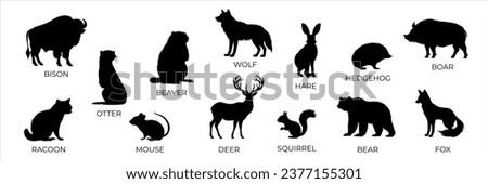 Set of forest animals black silhouette. Flat vector illustration isolated on a white background. Bear, wolf, fox, mouse, otter, squirrel, boar, deer, racoon, hadgehog, bison, beaver	