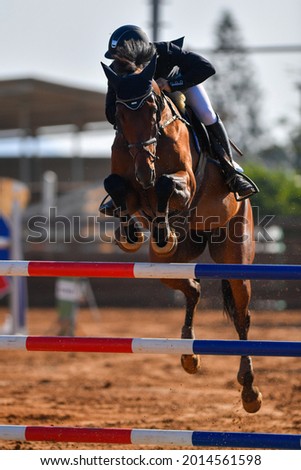 Rider on horse jumping over a hurdle during the equestrian event	 Foto stock © 