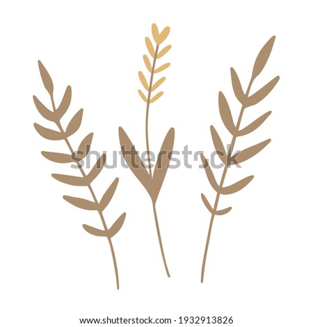 Ears of Wheat. Hand drawn wheat ears, oat, rye or barley branch. Harvest clipart. Vector design element, icon, symbol.