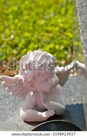 Similar – Image, Stock Photo dear angels Angel Grave