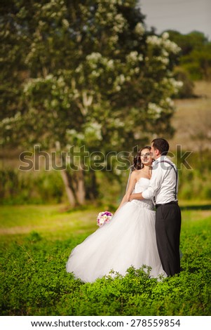 Happy Bride and Groom Wedding Day, Loving couple marriage, Newlyweds outdoors portrait, soft light, series